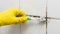 Easy natural solutions for getting rid of bathroom grout mold for good